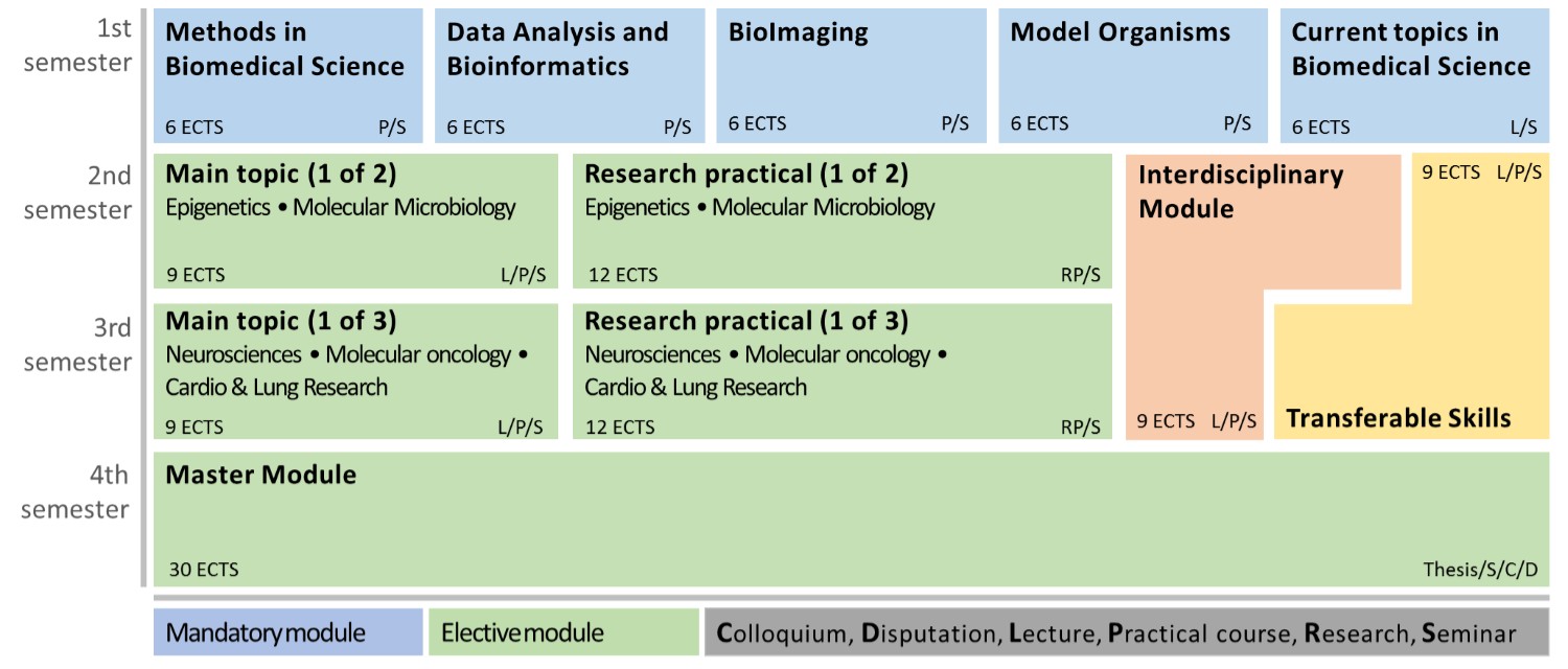 The curriculum structure - Elite Master Program Human Biology - LMU Munich